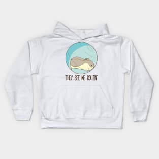 They See Me Rollin'- Hamster Kids Hoodie